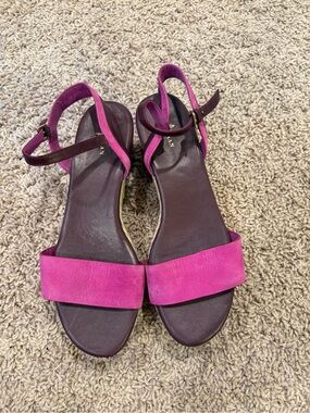 Cole Haan-Women’s Violet Pink Suede Strap Sandals
